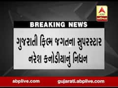 નરેશ કનોડિયાના ગાંધીનગર સેકટર 30ના સ્માશાન ગૃહમાં કરાયા અંતિમ સંસ્કાર