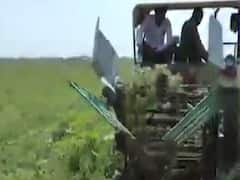 મોરબીના ચકમપરના લુહારે ખેતરમાંથી મગફળી ઉપાડવા માટે બનાવ્યું આધુનિક મશીન