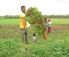 Help to rain-hit farmers | नुकसानग्रस्तांना मदत कधी? शेतकरी नेते किशोर तिवारी यांची प्रतिक्रिया