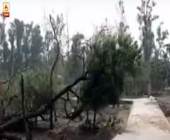 ৭ মাস পর চতুর্থীর দিন খুলে গেল হাওড়ার অন্যতম পর্যটন কেন্দ্র গড়চুমুক