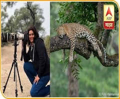 वाईल्ड लाईफ फोटोग्राफर ऋता कळमणकरांसोबत रानगप्पा! #WildLife Photography ची आव्हानं आणि गंमती...