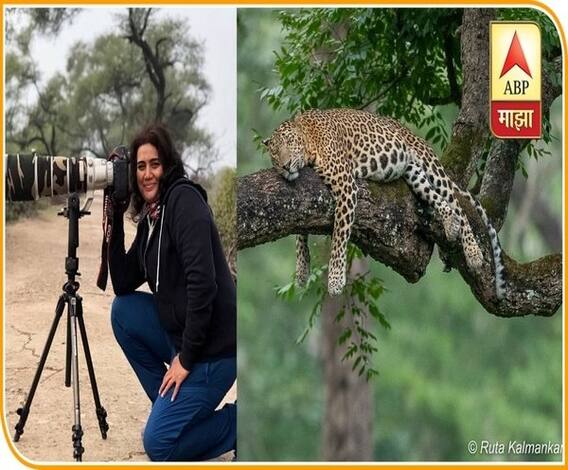 वाईल्ड लाईफ फोटोग्राफर ऋता कळमणकरांसोबत रानगप्पा! #WildLife Photography ची आव्हानं आणि गंमती...