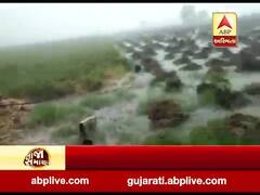 પોરબંદરમાં અધિક માસમાં આફતનો વરસાદ, સીમર ગામમાં બે ઇંચ વરસાદ