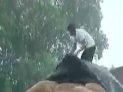 સુરત શહેર અને ગ્રામ્ય વિસ્તારમાં વરસાદ, ખેતરમાં ખેડૂતોનો ડાંગરનો પાક પલળ્યો