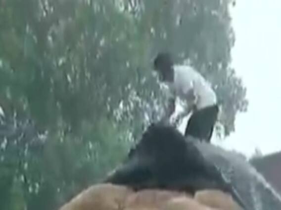 સુરત શહેર અને ગ્રામ્ય વિસ્તારમાં વરસાદ, ખેતરમાં ખેડૂતોનો ડાંગરનો પાક પલળ્યો