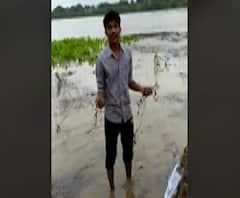 'पिकं वाहून गेली, आता तरी आम्हाला मदत करा', शेतकरीपुत्राची आर्त साद, व्हिडीओ व्हायरल