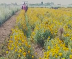 शेती जगत | शेती क्षेत्रातील घडामोडींचा वेगवान आढावा | 03 ऑक्टोबर 2020