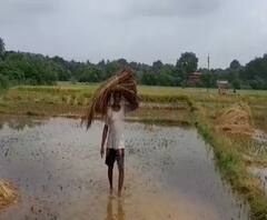 सांगलीमध्ये मुसळधार पावसाचा हाहा:कार, सिंधुदुर्ग, औरंगाबाद, पश्चिम महाराष्ट्रातही शेतीला मोठा फटका