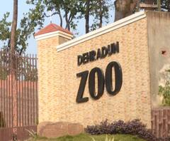 आज से खुलेगा Dehradun Zoo ,आम लोगों को आज से मिलेगी एंट्री | ABP GNAGA 