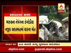 ભરુચ: નેત્રંગના કંબોડીયા પાસે ગમખ્વાર અકસ્માત, ચારના મોત, જુઓ વીડિયો 