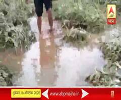 #MahaFloods उस्मानाबादमध्ये अतिवृष्टीमुळे लाखोंचं वाटोळं, पंचनामे नकोत, रोखठोक निर्णय घ्या - शेतकरी