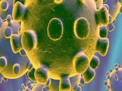 Covid-19: 3 महीने बाद देश में 600 से कम हुईं मौत, 24 घंटे में आए 55 हजार नए मरीज