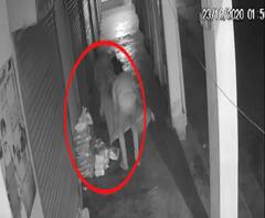 लखनऊ में बेकाबू हुए अपराधी,सीसीटीवी में कैद हुई चोरी की वारदात | ABP GANGA 