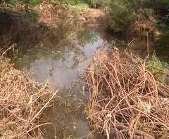 Maharashtra Monsoon | उस्मानाबादच्या करंजखेडा गावात अतिवृष्टीत वाहून आलेल्या गाळाने विहिरी बुजला