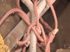 Inside story of Pakistan's 'tunnel conspiracy' against India