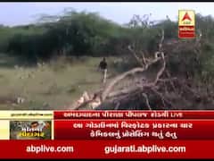 અમદાવાદ દુર્ઘટનાઃ પોલીસ બાદ FSLની ટીમ પર ઘટના સ્થળે તપાસ માટે પહોંચી, જુઓ વીડિયો 