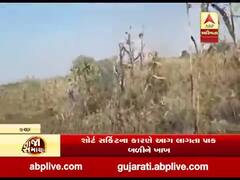 કચ્છના રાપરના ડાભુંડાના ખેતરમાં શોર્ટ સર્કિટના કારણે આગ લાગતા પાક બળીને ખાખ