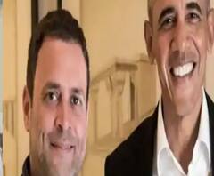 'রাহুল গাঁধী নার্ভাস-অপরিণত, দক্ষতা বা প্যাশন কোনওটাই নেই,