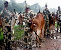 গরুপাচারকাণ্ডে বিএসএফ অফিসার সতীশ কুমারকে জিজ্ঞাসাবাদ সিবিআইয়ের