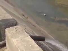 પાટણના આ તાલુકામાં હજુ નથી ઓસર્યા વરસાદના પાણી, ખેડૂતો ખેતરમાંથી કેનાલમાં ઠાલવી રહ્યા છે પાણી