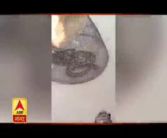 Fatehpur में दो अजगरों के मिलने से मची अफरा-तफरी, लोगों में दहशत