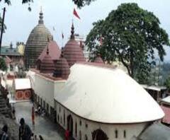 আজও ভক্তদের ভিড় কামাখ্যায়, করোনাবিধি মেনেই সাধক রামপ্রসাদের ভিটেতে চলছে কালীপুজো