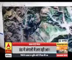 ठंड में भी धधक रहे हैं अल्मोड़ा के जंगल, कई हेक्टेयर वन भूमि जलकर खाक। Almora Jungle Fire 