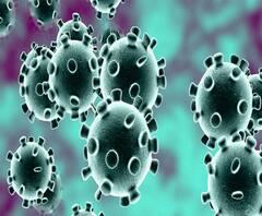 यूपी में फिर से रफ्तार पकड़ने लगा है कोरोना संक्रमण, लखनऊ में हुआ मंथन | Ganga Prime 