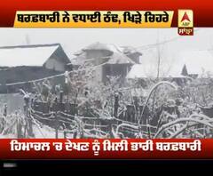 ਬਰਫ਼ਬਾਰੀ ਨੇ ਵਧਾਈ ਠੰਢ, ਸੈਲਾਨੀਆਂ ਦੇ ਖਿੜੇ ਚਿਹਰੇ