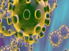 Delhi govt in action after alarming surge in coronavirus cases