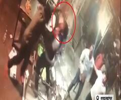 BJP जिला पंचायत अध्यक्ष के भाई की गुंडागर्दी, रेस्टोरेंट में मारपीट और तोड़फोड़। Maharajganj 