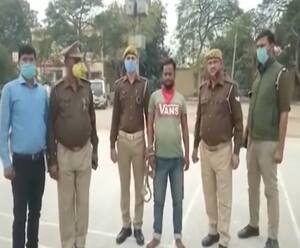 Jalaun की बेवफा पत्नी की खूनी दास्तान| High Alert| ABPGanga 