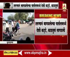 Buldana | बुलढाण्यात ऑनलाईन शस्त्र मागवणारा तरुण एटीएसच्या ताब्यात