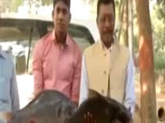 Poll Khol with Shekhar Suman: Anything can happen in Bihar