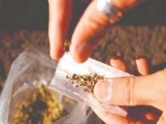 कॉमेडियन Bharti Singh और उनके पति हर्ष से NCB की पूछताछ, सर्च के दौरान घर से निकला गांजा