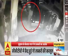 मथुरा में गो तस्करों का आतंक, स्कॉर्पियो में गाय को ले जाते दिखे तस्कर | Purab Pashchim | ABP Ganga