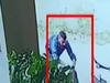 Indore: घर के बाहर महिला से chain snatching की घटना CCTV में कैद