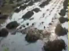 ગાંધીનગરઃ અતિવૃષ્ટી સહાય માટે 18.95 લાખથી વધુ અરજીઓ આવી, જુઓ વીડિયો