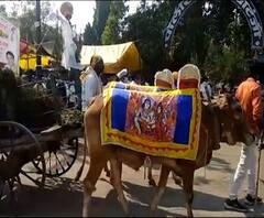 Rural News | माझं गाव माझा जिल्हा | अकोल्यात कृषी विद्यापीठात कर्मचाऱ्यांचे आंदोलन | ABP Majha