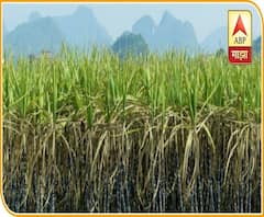 शेती जगत | शेती क्षेत्रातील घडामोडींचा वेगवान आढावा | गावागावात काय आहे शेतीची परिस्थिती? 20 नोव्हेंबर 2020