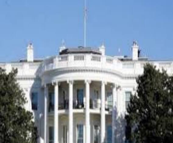 US Presidential Elelction 2020: হোয়াইট হাউসের কুর্সিতে কে? ৬টি প্রদেশের গণনাতেই ট্রাম্প-বাইডেনের ভাগ্য নির্ধারণ