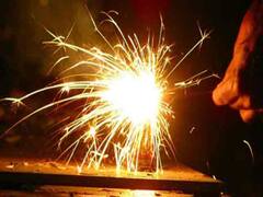 NGT bans sale of firecrackers in Delhi NCR till November 30