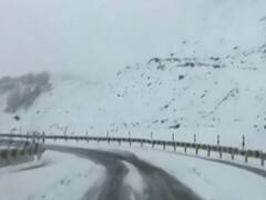 Himachal Pradesh: Beautiful visuals after snowfall