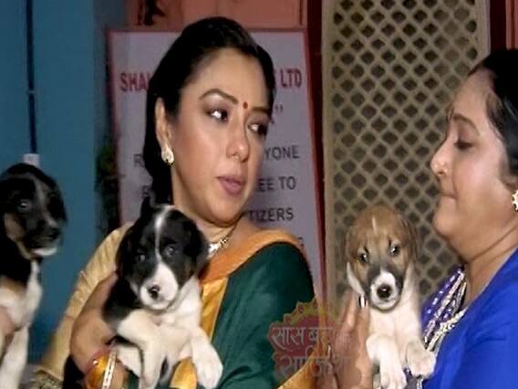 Star cast of Anupamaa considers puppies as their Lucky Charm | SBS Full