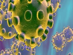 7 हफ्ते बाद Corona के मामलों में आई उछाल