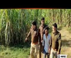 जारी है 'ऑपरेशन क्लीन', ताबड़तोड़ एनकाउंटर में कई बदमाश गिरफ्तार। UP Police