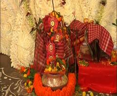 Ananda Sakal III: কুমারী পুজো থেকে ধুনো পোড়া, দেখুন জগদ্ধাত্রী পুজোর নবমী পুজোর ঝলক 