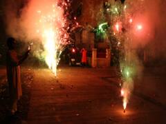 ફટાકડા ફોડવા મુદ્દે NGTમાં સુનાવણી,  ગુજરાત સરકાર રજૂ કરશે જવાબ