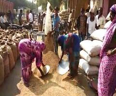 Soybean Rates | सोयाबीनला 3800 ते 4 हजारांचा भाव, लातूर बाजार समितीत सोयाबीनची विक्रमी आवक