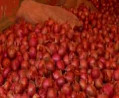 #Onion Rates | नवी मुंबई APMCमध्ये कांद्याचे दर स्थिर, 90₹ किलोवर पोहोचलेला कांदा 60₹ वर